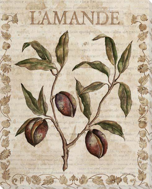 Amande Amère – LA BOUTIQUE FRENCH TOUCH