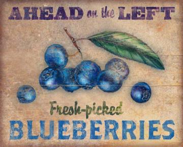 Roadside Blueberries