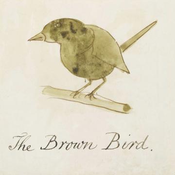 The Brown Bird