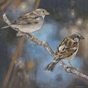 Resting Sparrows II