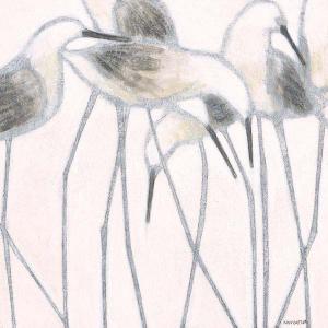 Whitewashed Sandpipers I