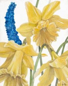 Daffodils and Hyacinth I