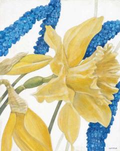 Daffodils and Hyacinth II