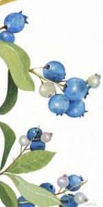 Wild Blueberries IV
