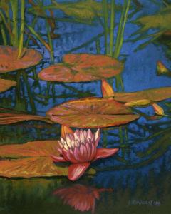 Lily Pads 3