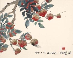 Lychees in the Spring