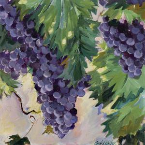 Pinot Grapes