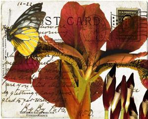Bees Butterflies & Postcards II