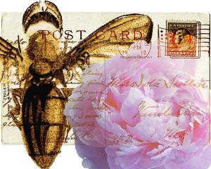 Bees Butterflies & Postcards IV