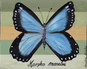 Morpho Menelos