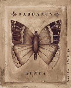 Dardanus Kenya