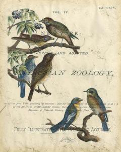 Vintage Birds I