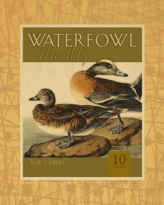 Waterfowl 12