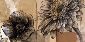 Two Graphite Flowers
