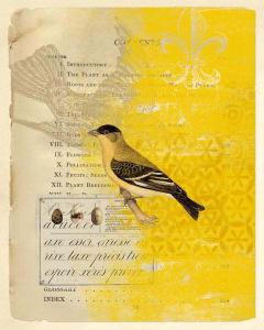 Yellow Aviary Page