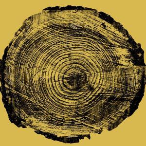 Nature Grouping Tree Rings