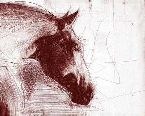 Sketched Horse Heads 1