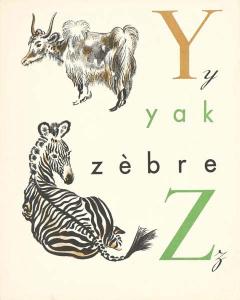 Yak Zebre