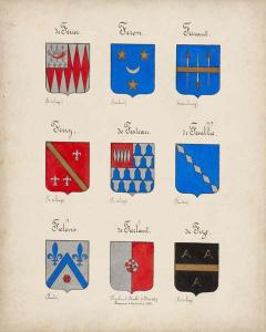 Code of Arms VII