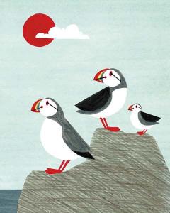 Puffin Family