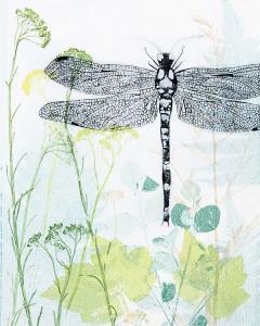 Dragonfly and the Healing Plant