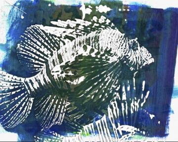 Blue Lion Fish 2