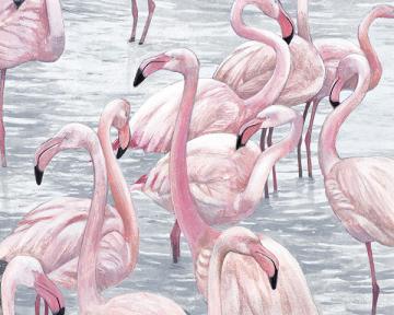 Flamingo Bay II