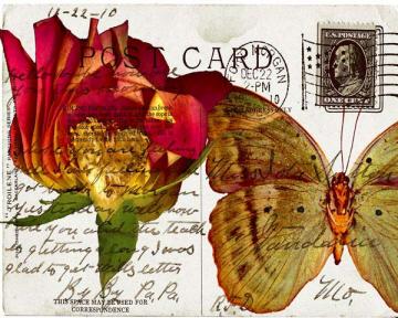Bees Butterflies & Postcards III