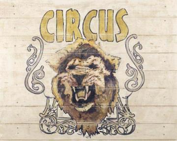 Cirque-Lion