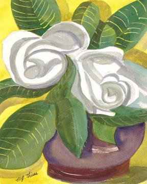 Magnolia in Vase