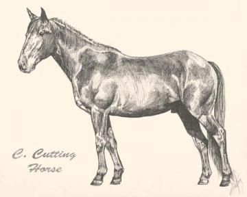 C Cutting Horse