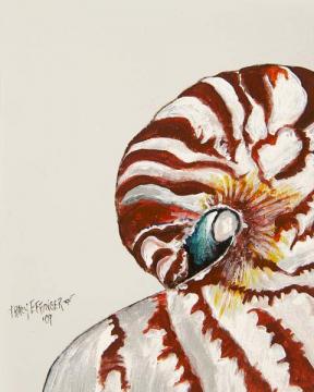 Nautilus Shell Side View Watercolor