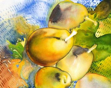 French Pears