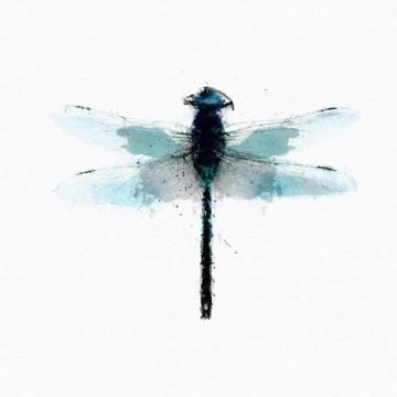 Inked Dragonfly 1