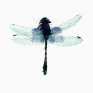 Inked Dragonfly 4