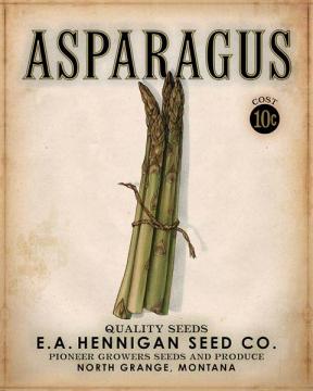 Hennigan Seed Asparagus