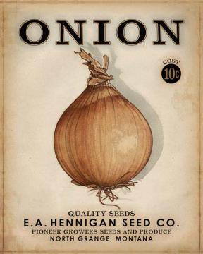 Hennigan Seed Onion