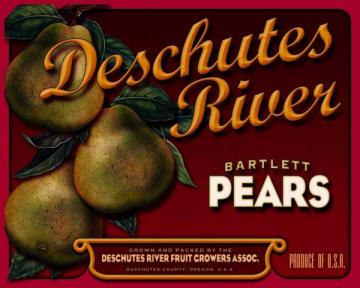 Deschutes Pears