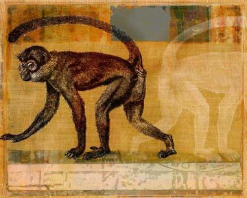 Monkey Collage