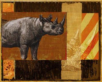 Rhino Collage