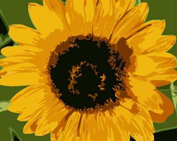 Silkscreen Sunflowers