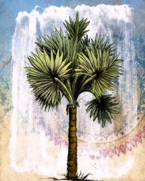 Palms with Fresco II