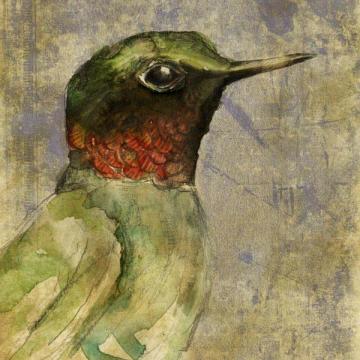 Watercolor Humingbird Left