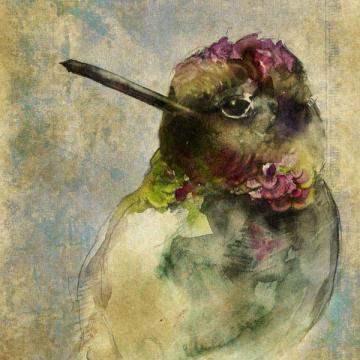Watercolor Humingbird Right