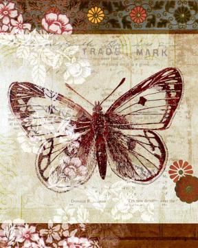 Patterned Butterfly Three