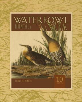 Waterfowl 26