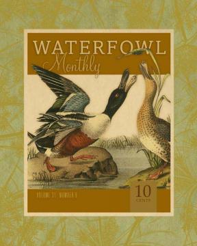 Waterfowl 31