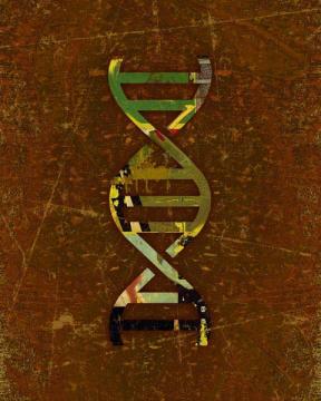 Symbolic DNA