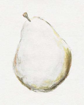 Pear Sketchings Single