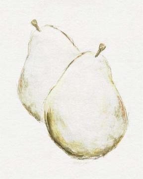 Pear Sketchings Duo